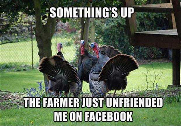 thanksgiving-dinner-meme-1.jpg