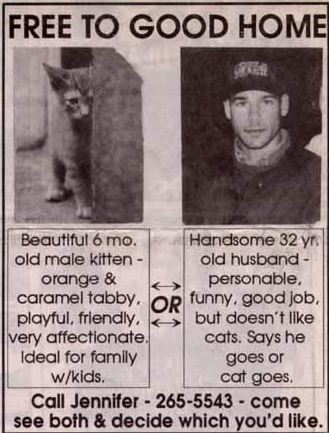 classified ad humor