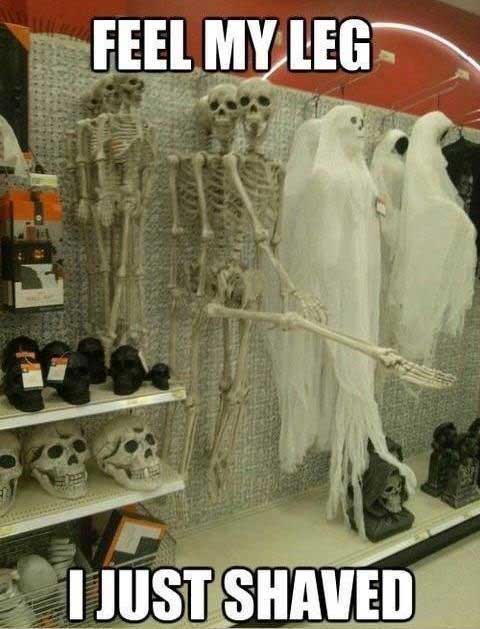 The 50 Funniest Halloween Memes Of All Time (GALLERY) | WorldWideInterweb
