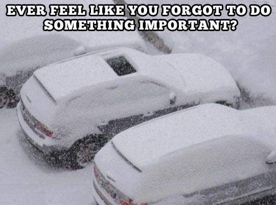 The 50 Funniest Winter Memes Of All Time (GALLERY)