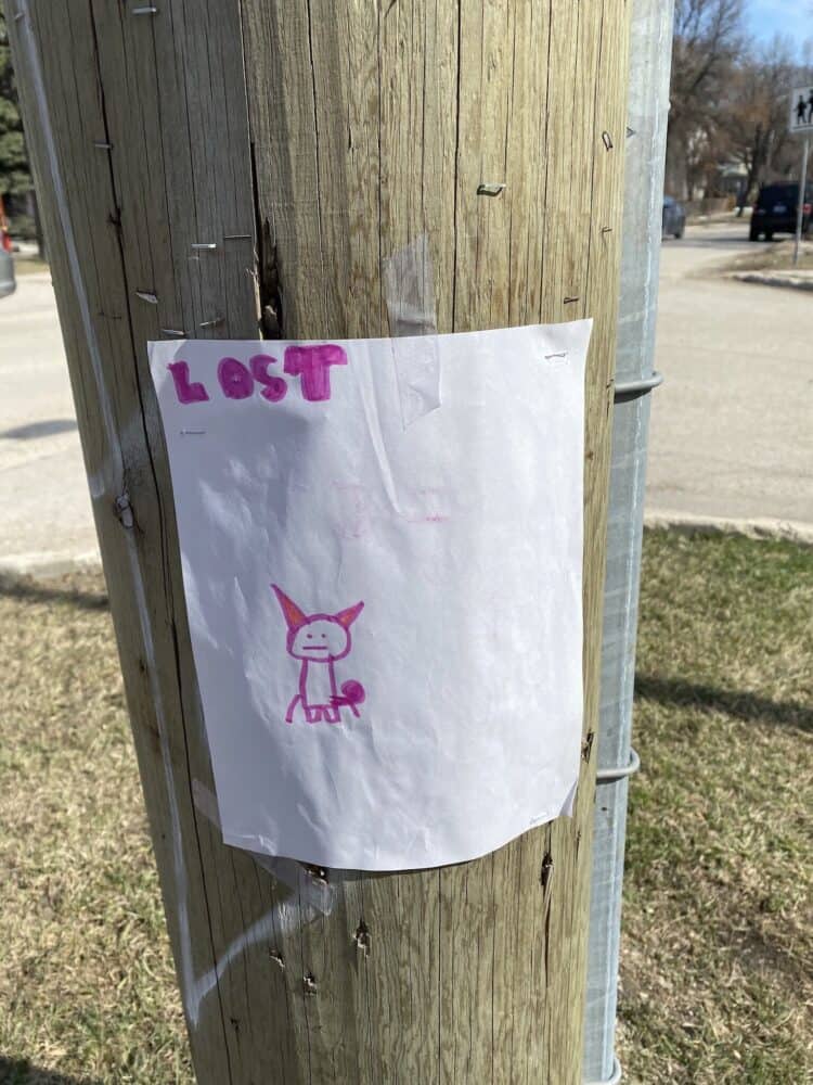 lost cat drawing from 5 year old funny reddit