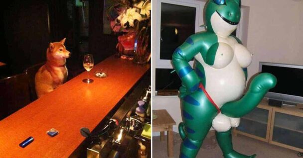 wtf-weird-pics-dog-at-bar-blowup-doll-lizard