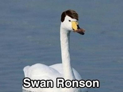 swan ronson