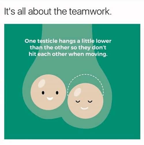 It's All About Teamwork — 25+ Funny Teamwork Memes