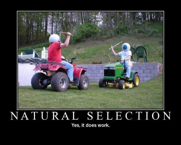 natural-selection-pictures