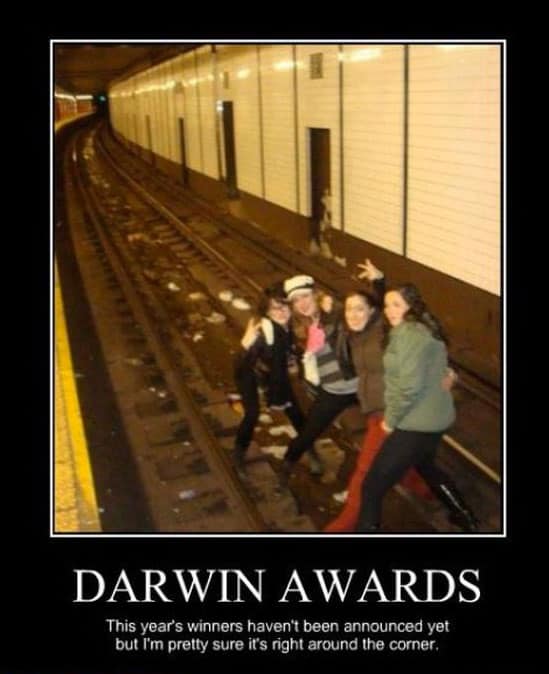 darwin-award-winners