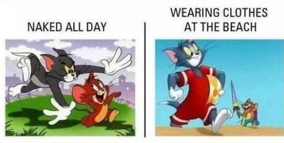 cartoon logic memes