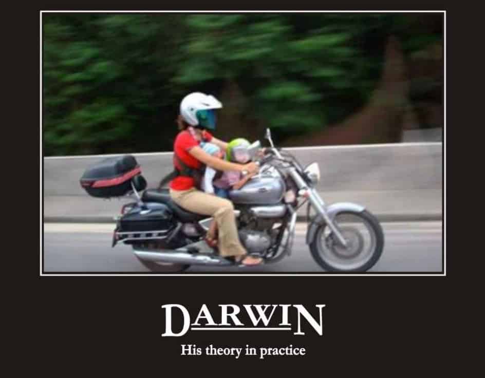 darwin-award-mom