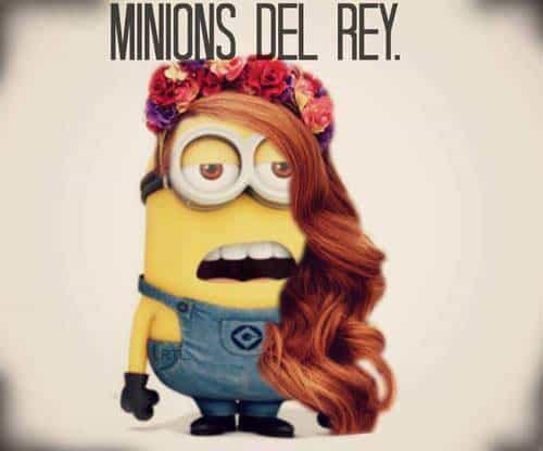 lana del rey minion