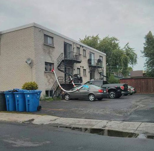 stupid-or-genius