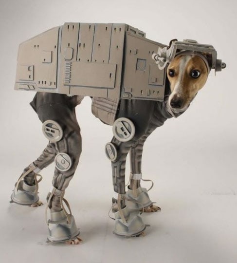 dog-star-wars-costume