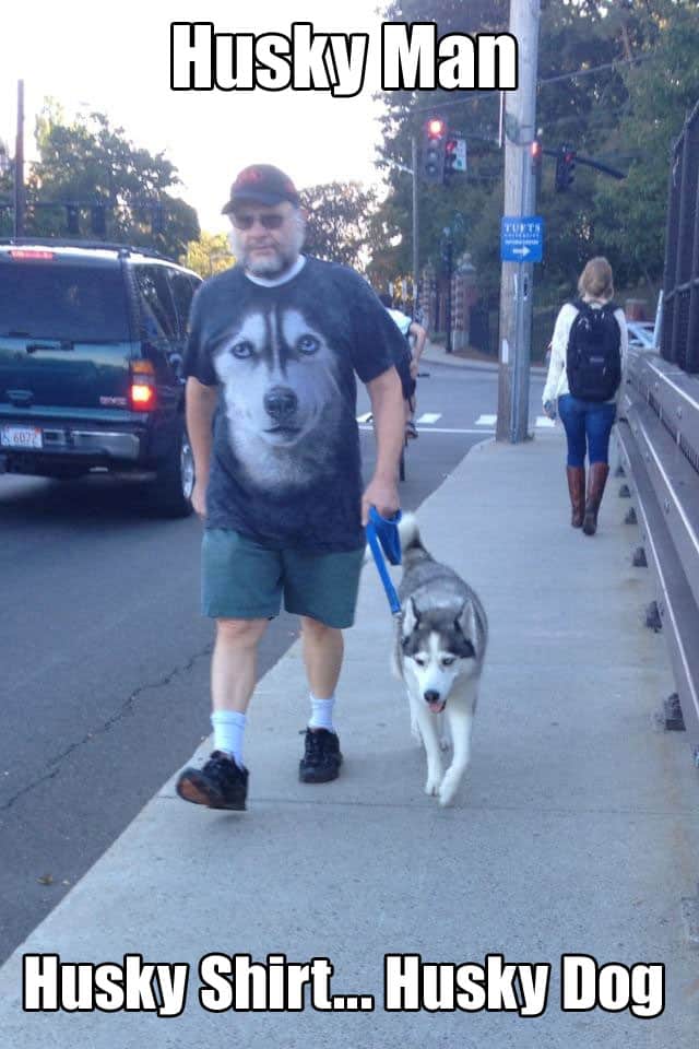 husky-man-husky-shirt