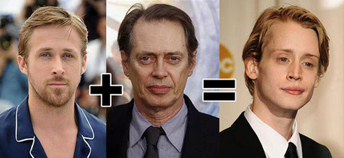 celebrity-face-equations