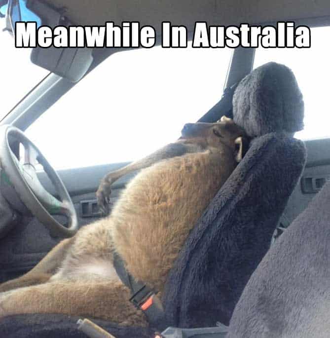 meanwhile in australia