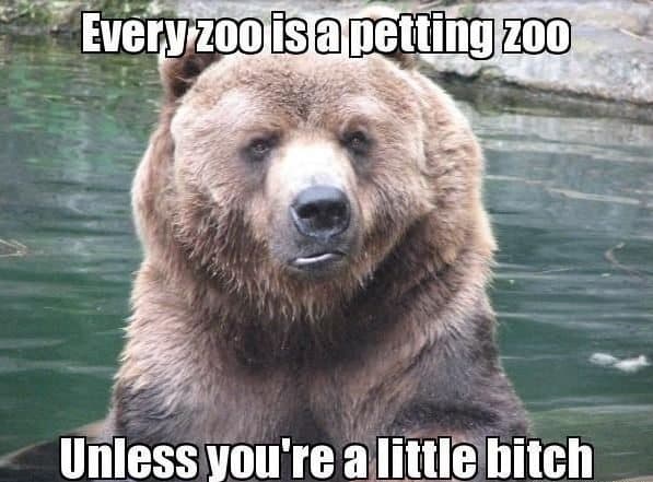 petting zoo meme