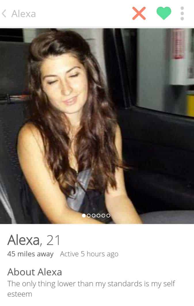 25 Tinder Profiles That Totally Nailed It (GALLERY 