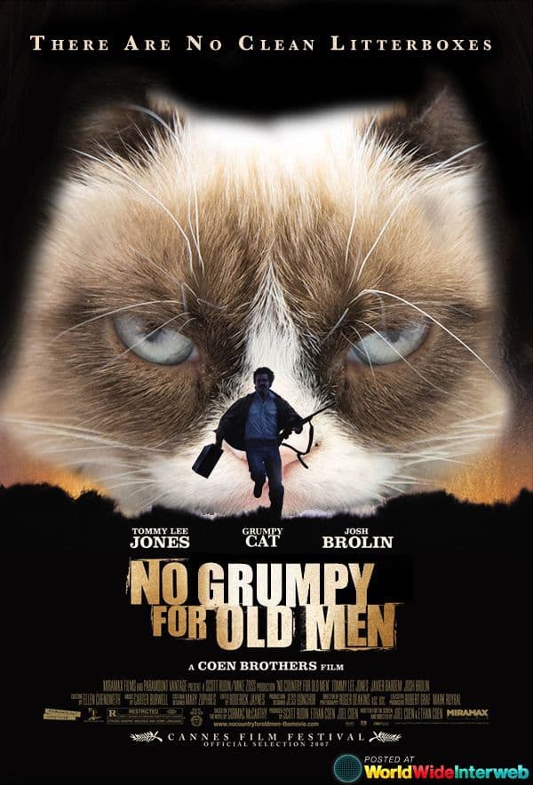 Cat Versions of Famous Movies (GALLERY)
