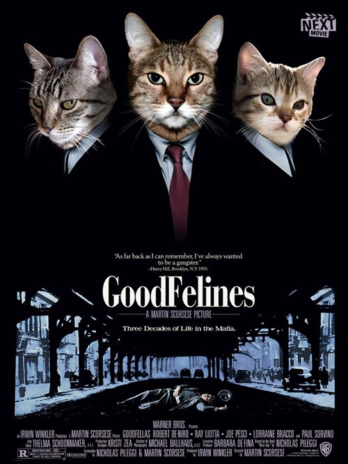 Cat Versions of Famous Movies (GALLERY)
