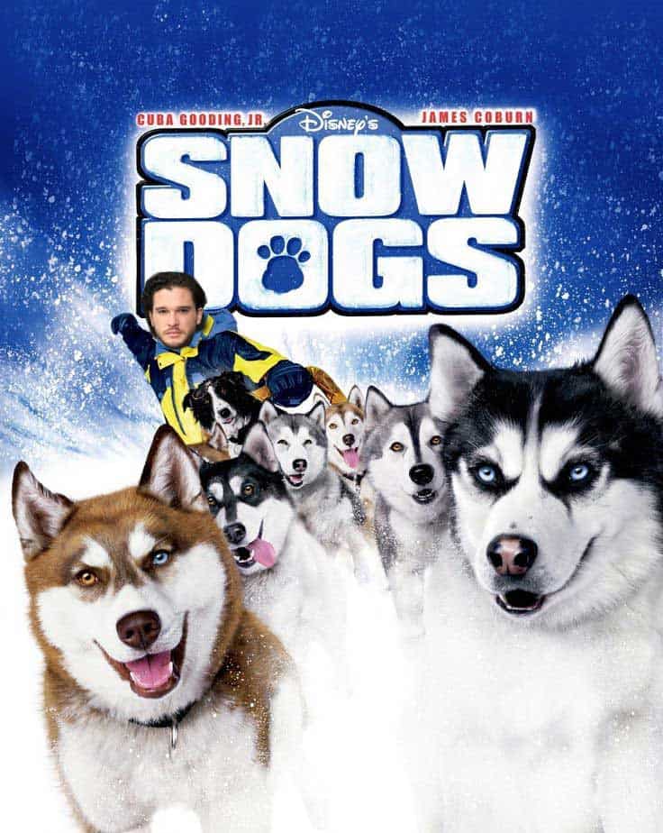jon-snow-dogs