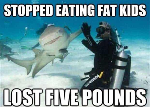 The 21 Funniest Shark Memes Ever (GALLERY)