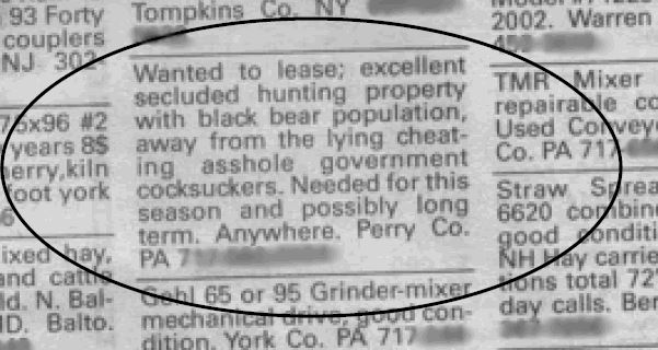 classified ad crazy