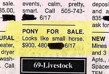 classified ad pony