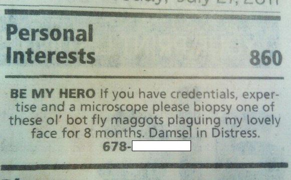 best classified ad ever pics