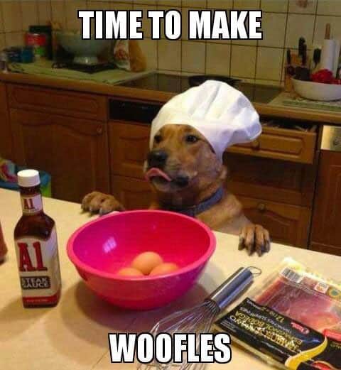 chef-dog-meme