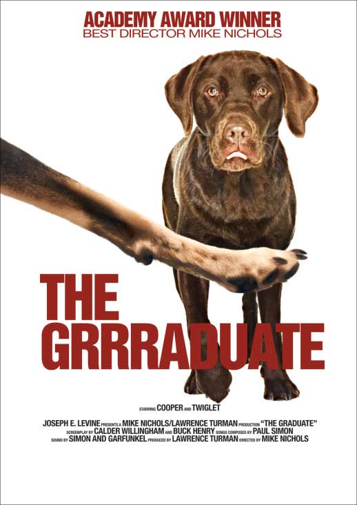 If Dogs Starred In Famous Movies (GALLERY)