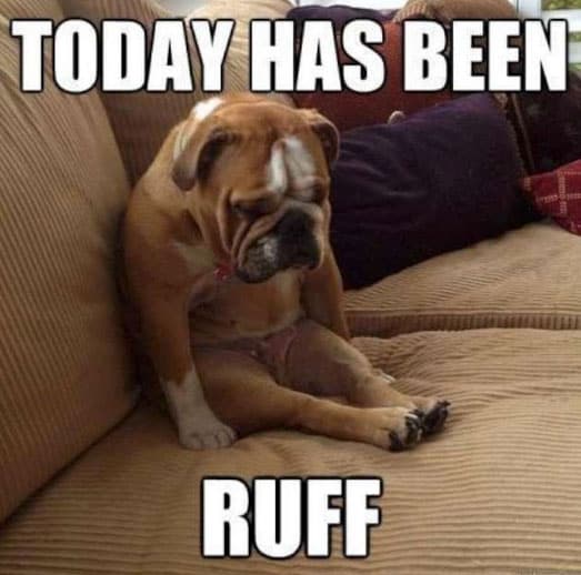 dog-ruff