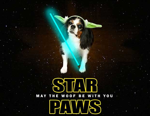 dog-star-wars-poster