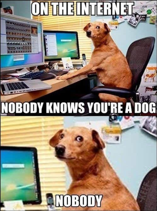 internet-dog-memes