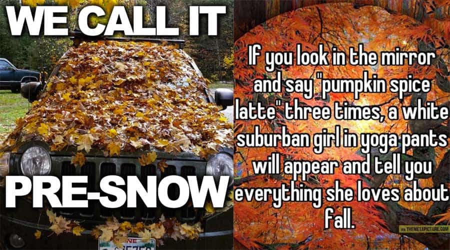 fall-memes-1 - WorldWideInterweb