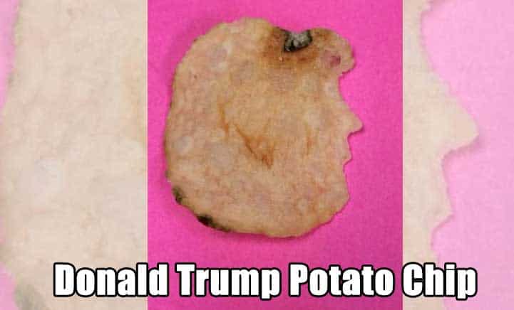 donald-trump-potato-chip
