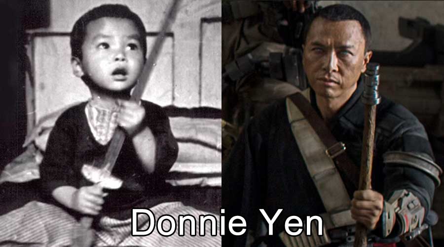 young-donnie-yen