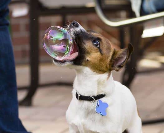 bubble perfectly timed