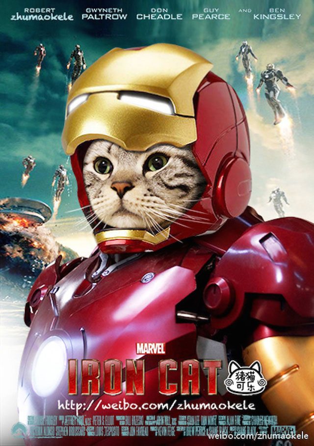 iron-cat