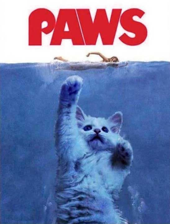 cat movie poster