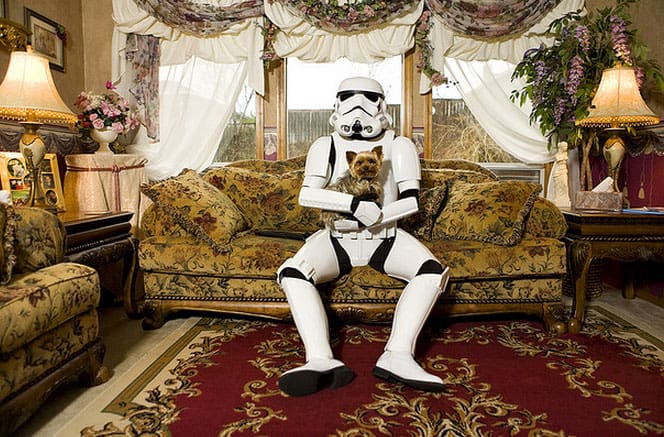 storm-trooper-dog