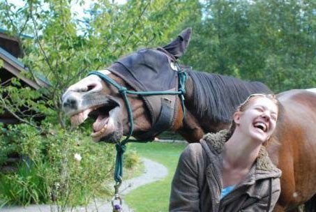 funniest-horse-photo-ever