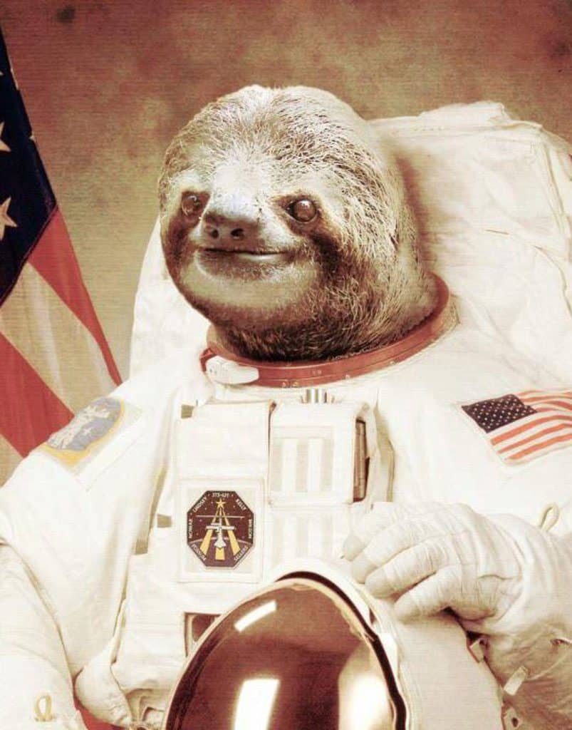 sloth-astronaut