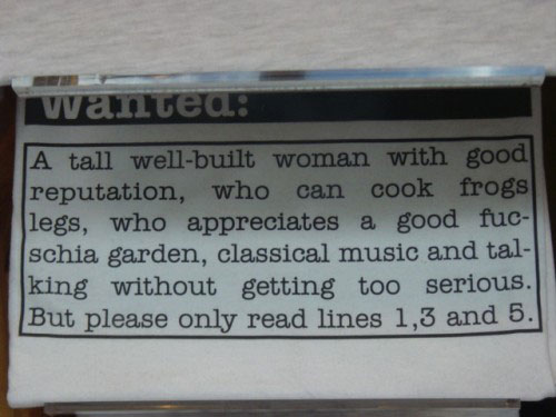 funny-wanted-ad