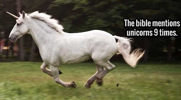 unicorn facts
