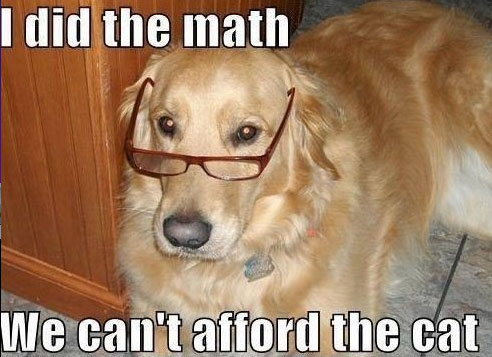 did the math dog meme