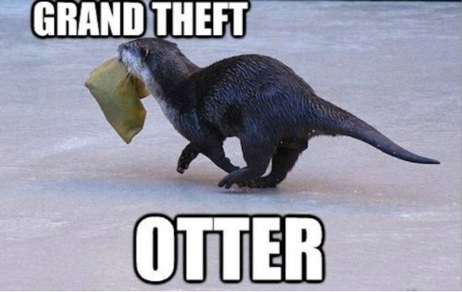 grand theft otter