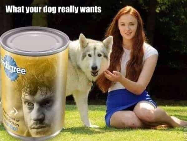 dog food ramsay sansa meme