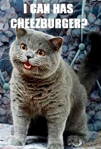 original-i-can-haz-cheezburger