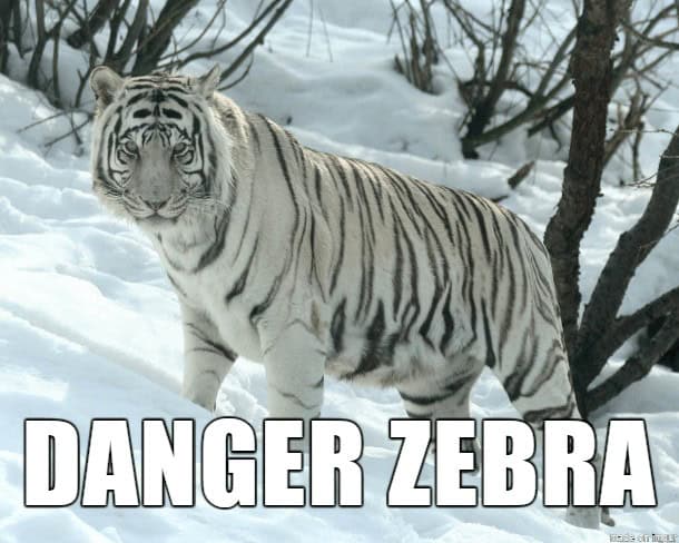 05-better-animal-names