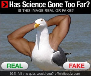 has science gone too far seagull