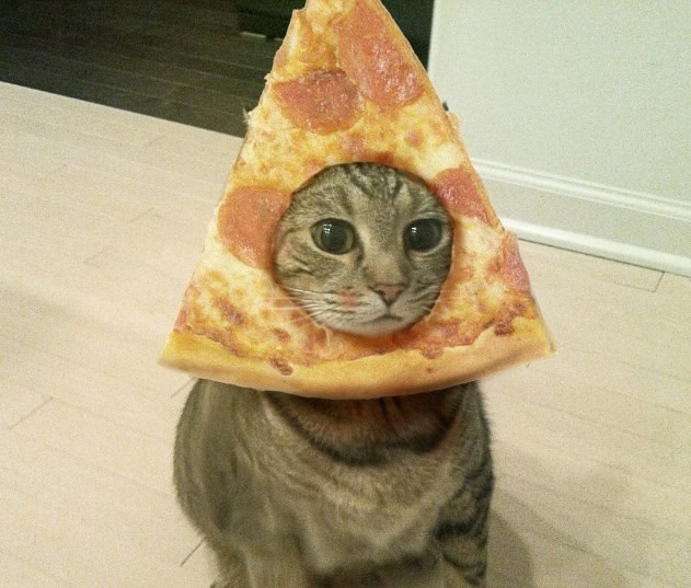 pizza-cat-head-hole